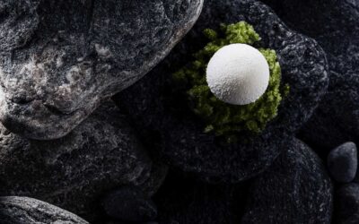 hjemmeside til gastrome