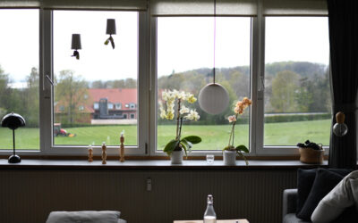 Logo og hjemmeside til Hejredalsparken